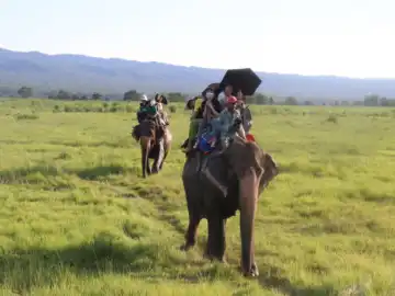 Elephant Ride in Chitwan- Golden Triangle Tour in Nepal